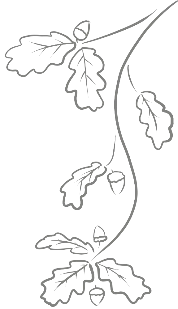 A simple design of oak leaves and acorns.