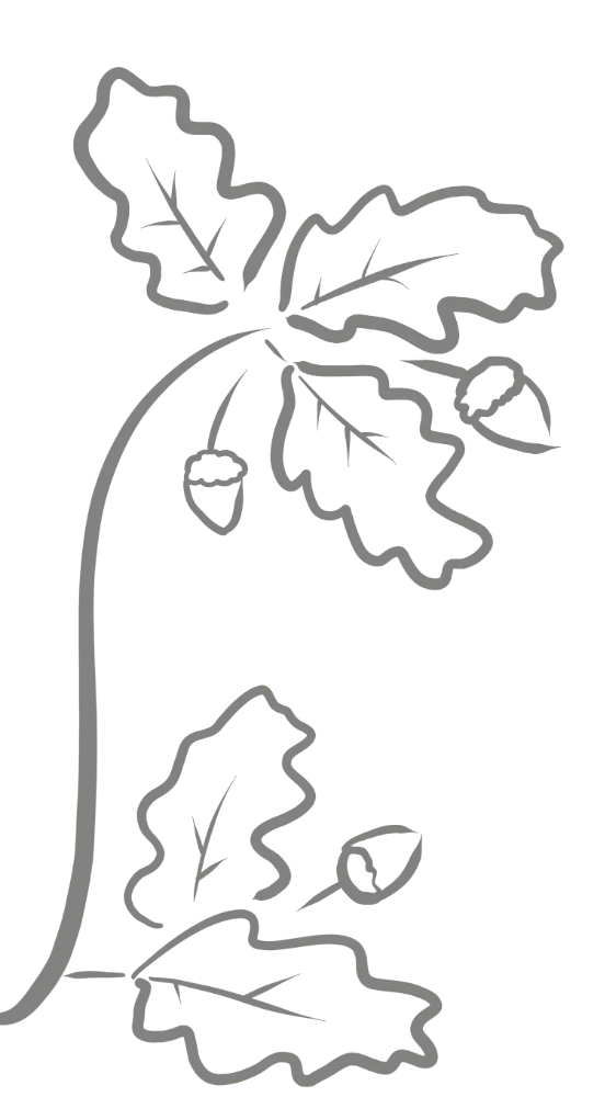 A simple design of oak leaves and acorns.